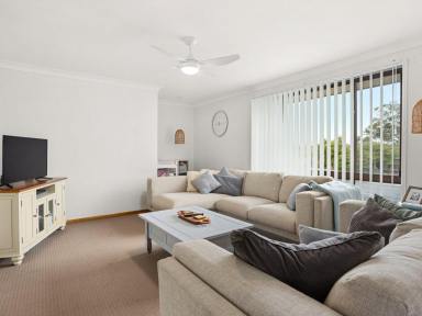 House For Lease - NSW - Old Bar - 2430 - Neat and tidy 3 bedroom home  (Image 2)
