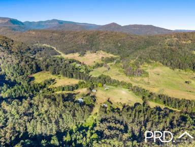 House For Sale - NSW - Kyogle - 2474 - Two Homes on 157 Acres with Creek  (Image 2)