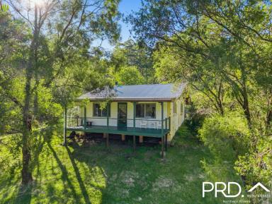 House For Sale - NSW - Kyogle - 2474 - Two Homes on 157 Acres with Creek  (Image 2)