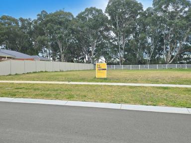 Residential Block For Sale - VIC - Nicholson - 3882 - GENEROUSLY SIZED, FLAT BLOCK FOR EASY BUILD  (Image 2)