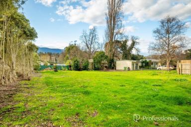 Residential Block For Sale - VIC - Yarra Junction - 3797 - PRIME VACANT BLOCK IN THE HEART OF YARRA JUNCTION  (Image 2)