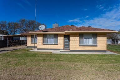House For Sale - SA - Frances - 5262 - Brick home on large 2046m2  (Image 2)