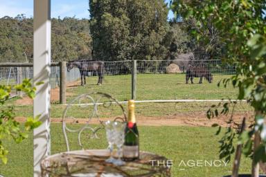 House For Sale - WA - Mount Helena - 6082 - Blissfully Equine  (Image 2)