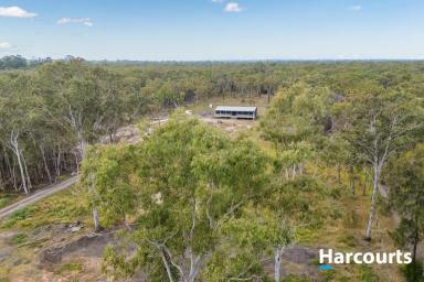 Residential Block For Sale - QLD - Pacific Haven - 4659 - Back On The Market !! Don't Miss out !!  (Image 2)