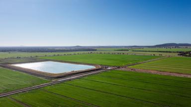 Cropping For Sale - NSW - Condobolin - 2877 - Condobolin's Hidden Secret  (Image 2)