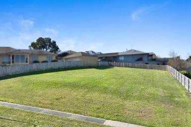 Residential Block For Sale - VIC - Neerim South - 3831 - Titled Land with Stunning Views  (Image 2)