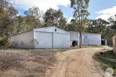 Residential Block For Sale - VIC - Lexton - 3352 - Beautiful Parcel Of Land With Additions  (Image 2)