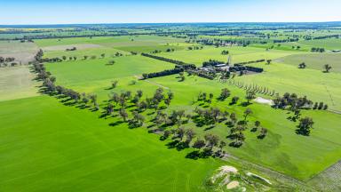 Cropping Auction - NSW - Hopefield - 2646 - ‘Highly regarded fodder production property with ever reliable irrigation water’  (Image 2)