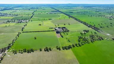 Cropping Auction - NSW - Hopefield - 2646 - ‘Highly regarded fodder production property with ever reliable irrigation water’  (Image 2)