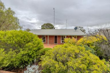 House For Sale - VIC - Murrayville - 3512 - First Time on the Market in 30 Years - Immaculate 3-Bedroom Home on 1/4 Acre with Solar  (Image 2)