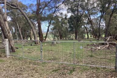 Mixed Farming For Sale - VIC - Clarendon - 3352 - Versatile Lifestyle Acreage with Homesite Potential – Approx. 134 Acres  (Image 2)