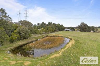 Mixed Farming For Sale - VIC - Clarendon - 3352 - Rural Opportunity with Lifestyle Appeal & Future Potential  (Image 2)