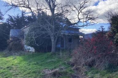 Mixed Farming For Sale - VIC - Clarendon - 3352 - 54.35Ha (134.3Ac); Fenced pasture and bush: Derelict House  (Image 2)