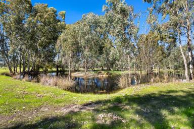 House For Sale - WA - Dardanup West - 6236 - Spacious Rural Retreat with Modern Comforts – 3.10 Ha in Dardanup West  (Image 2)
