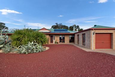 House For Sale - NSW - Wentworth - 2648 - Great Family Home  (Image 2)