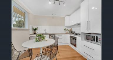 Unit For Lease - VIC - Mentone - 3194 - MODERN | PRIVATE COURTYARD| FANTASTIC LOCATION  (Image 2)