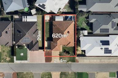 House For Sale - WA - Wattle Grove - 6107 - Open Sat & Sun 11:00am  (Image 2)