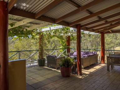 House For Sale - NSW - Brogo - 2550 - STUNNING HOME AND 80 ACRES  (Image 2)