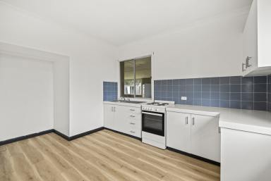 House For Sale - QLD - Newtown - 4350 - Structure and Space with Scope to Evolve  (Image 2)
