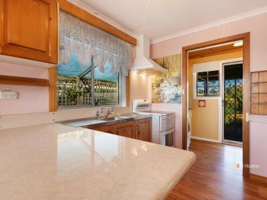 House For Lease - TAS - Devonport - 7310 - Three Bedroom Family Home with Shed  (Image 2)