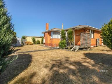 House For Lease - TAS - Devonport - 7310 - Three Bedroom Family Home with Shed  (Image 2)