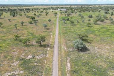 Lifestyle For Sale - NSW - Bourke - 2840 - A Unique Offering  (Image 2)