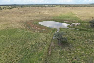 Lifestyle For Sale - NSW - Bourke - 2840 - A Unique Offering  (Image 2)