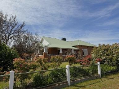House For Sale - NSW - Grenfell - 2810 - A Federation Gem in the Heart of Grenfell  (Image 2)
