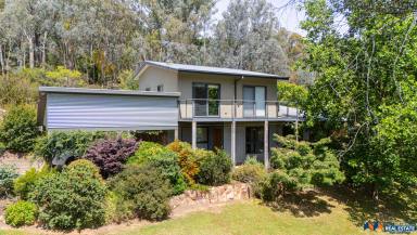 House For Sale - VIC - Myrtleford - 3737 - Eco-Friendly Sanctuary with Rural Charm (Image 2)