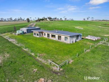 Lifestyle For Sale - VIC - The Gurdies - 3984 - 51 ACRES, HORSES OR STUD FARM WITH A STUNNING HOME.  (Image 2)