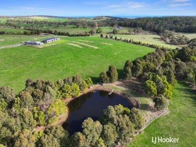 Lifestyle For Sale - VIC - The Gurdies - 3984 - 51 ACRES, HORSES OR STUD FARM WITH A STUNNING HOME.  (Image 2)