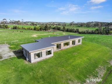 Lifestyle For Sale - VIC - The Gurdies - 3984 - ARCHITECTURAL DESIGNED HOME ON 51 ACRES OF FERTILE LAND  (Image 2)