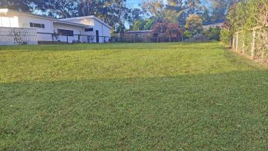 Residential Block For Sale - QLD - Macleay Island - 4184 - Flat, Cleared & Build-Ready Block in Macleay’s Best Pocket – Be Quick!  (Image 2)