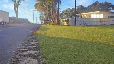 Residential Block For Sale - QLD - Macleay Island - 4184 - Flat, Cleared & Build-Ready Block in Macleay’s Best Pocket – Be Quick!  (Image 2)