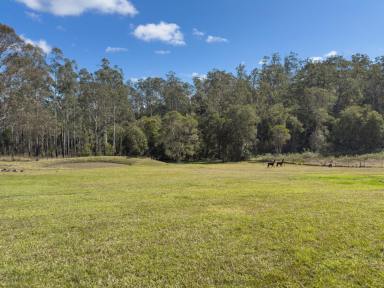 Acreage/Semi-rural For Sale - NSW - Mount George - 2424 - Country Cottage with Guest Space  (Image 2)
