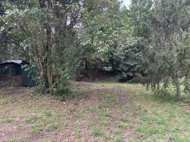Residential Block For Sale - NSW - Candelo - 2550 - Residential and/or commercial possibilities  (Image 2)