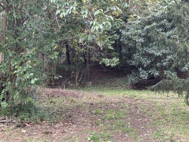 Residential Block For Sale - NSW - Candelo - 2550 - Residential and/or commercial possibilities  (Image 2)