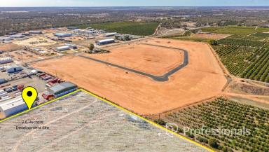Land/Development For Sale - NSW - Buronga - 2739 - Exciting Residential Development Opportunity -  9.6 Hectares  (Image 2)