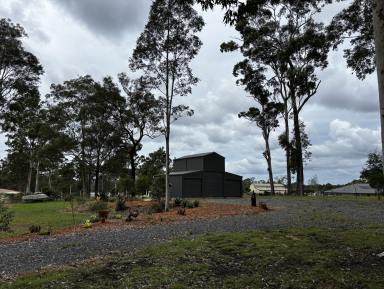 Acreage/Semi-rural For Sale - NSW - Coolongolook - 2423 - Discover the Ultimate Rural Lifestyle  (Image 2)