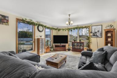 House For Sale - TAS - Wynyard - 7325 - Modern Family Living in Wynyard  (Image 2)