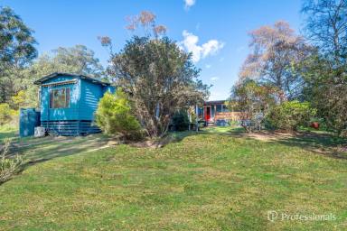 House For Sale - VIC - East Warburton - 3799 - Versatile Acreage with Creek, Studio & Income Potential  (Image 2)