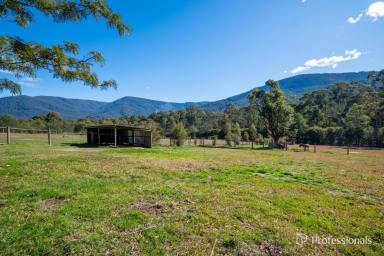 House For Sale - VIC - East Warburton - 3799 - Versatile Acreage with Creek, Studio & Income Potential  (Image 2)