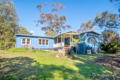 House For Sale - VIC - East Warburton - 3799 - Versatile Acreage with Creek, Studio & Income Potential  (Image 2)