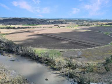 Mixed Farming Auction - NSW - Bonshaw - 2361 - Irrigated Cropping and Grazing on the banks of the Dumaresq River  (Image 2)