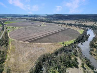 Mixed Farming Auction - NSW - Bonshaw - 2361 - Irrigated Cropping and Grazing on the banks of the Dumaresq River  (Image 2)