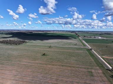 Cropping For Sale - NSW - Temora - 2666 - Small Block In Tightly Held Locality  (Image 2)