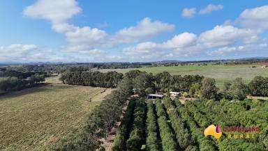 Mixed Farming For Sale - QLD - Tolga - 4882 - Wondaree Farm  (Image 2)