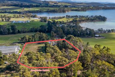 Residential Block For Sale - TAS - Premaydena - 7185 - Acreage by the Sea – With workshop/garage. Room for a Pony!  (Image 2)