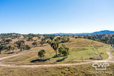 Lifestyle For Sale - NSW - Tenterfield - 2372 - Well-located Rural Holding with Water Security, Infrastructure & Potential  (Image 2)
