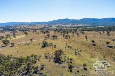 Lifestyle For Sale - NSW - Tenterfield - 2372 - Small Rural Block with Water, Views & Grazing Potential  (Image 2)